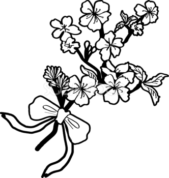 白黒の桜イラスト おしゃれ(枝とリボン)39652