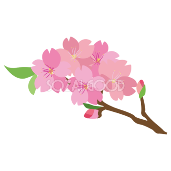 桜の枝のかわいい無料イラスト-春41338