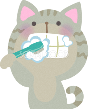 歯磨きする猫の無料イラスト／医療／健康43707