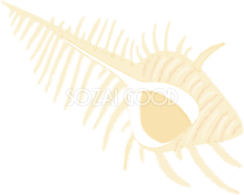 トゲトゲの貝殻（アッキガイ）の無料イラスト／海46134