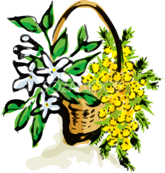 春のミモザアカシアとジャスミンがかごに飾られた花の無料イラスト63919