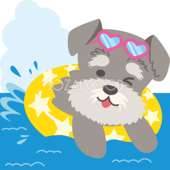 ミニチュア・シュナウザー(犬)海開き かわいい動物無料イラスト67958