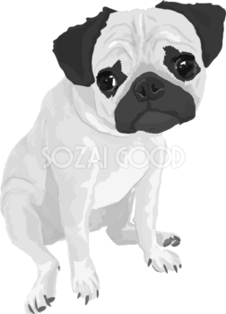 パグの白黒モノクロでかっこいい犬の無料イラスト68023