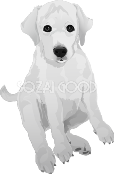 ゴールデン・レトリーバーの白黒モノクロでかっこいい犬の無料イラスト68051