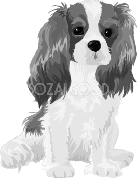 キャバリアの白黒モノクロでかっこいい犬の無料イラスト68067