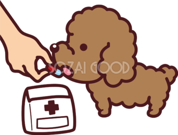 トイプードルが薬を飲む かわいい犬の無料イラスト69117