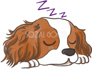 キャバリア（寝顔)かわいい犬の無料イラスト69955