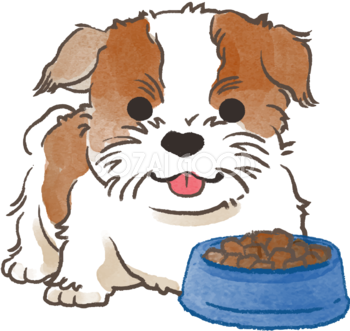 シーズー子犬(ご飯を食べる)かわいい犬の無料イラスト69991