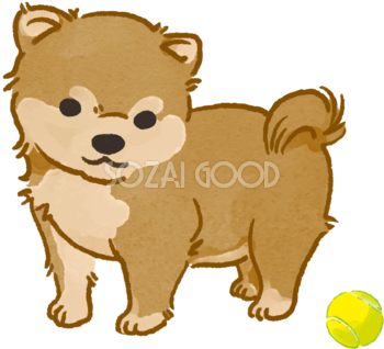 柴犬子犬(ボールで遊ぶ)かわいい犬の無料イラスト70144