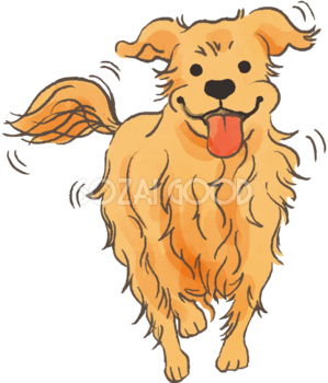 ゴールデンレトリバー(走る)かわいい犬の無料イラスト70269