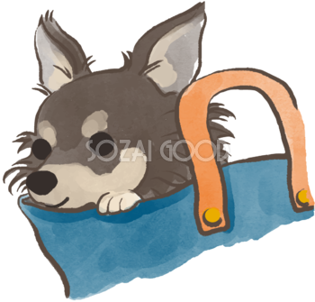 チワワ(鞄の中)かわいい犬の無料イラスト70285