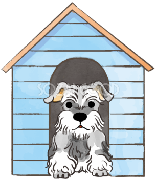 ミニチュアシュナウザー(犬小屋)かわいい犬の無料イラスト70389