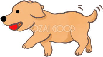 ゴールデンレトリバー子犬(ボールで遊ぶ)かわいい犬の無料イラスト70483