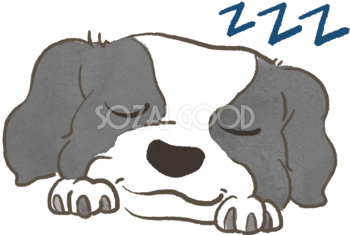 ボーダーコリー(寝顔)かわいい犬の無料イラスト70643