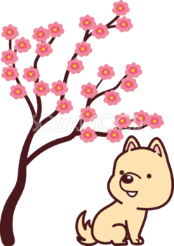 かわいい子犬と梅の花 2018干支(戌年)無料イラスト73541