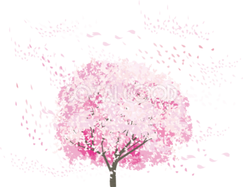 一本のリアル桜の木から風で舞う花びら透過イラスト背景なし無料 フリー83080