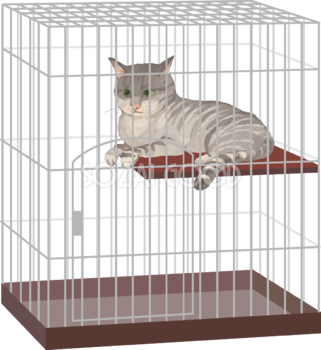 猫(トラ柄の雑種ミックス)ケージに入るリアル無料フリーイラスト83249
