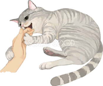 猫(トラ柄の雑種ミックス)手を甘噛みするリアル無料フリーイラスト83304