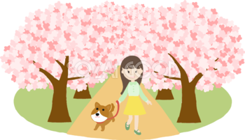桜並木で犬を散歩する女性が花見するイラスト無料(フリー)83580