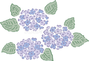 ペン画タッチの3輪(青)の紫陽花(アジサイ)イラスト(梅雨)無料 フリー87183