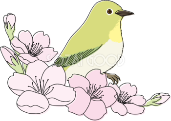 鳥(うぐいす)桜イラスト無料 フリー88335