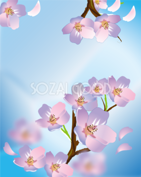 桜 背景 綺麗 青空 イラスト無料 フリー91081