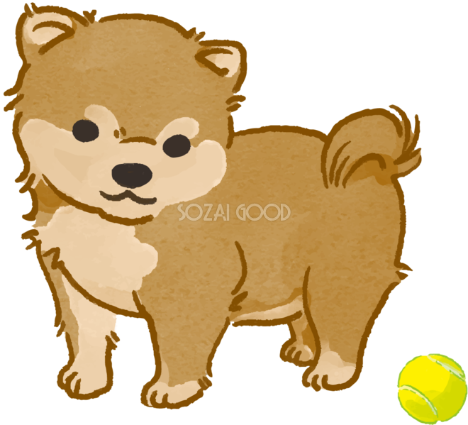柴犬子犬(ボールで遊ぶ)かわいい犬の無料イラスト70144 素材Good