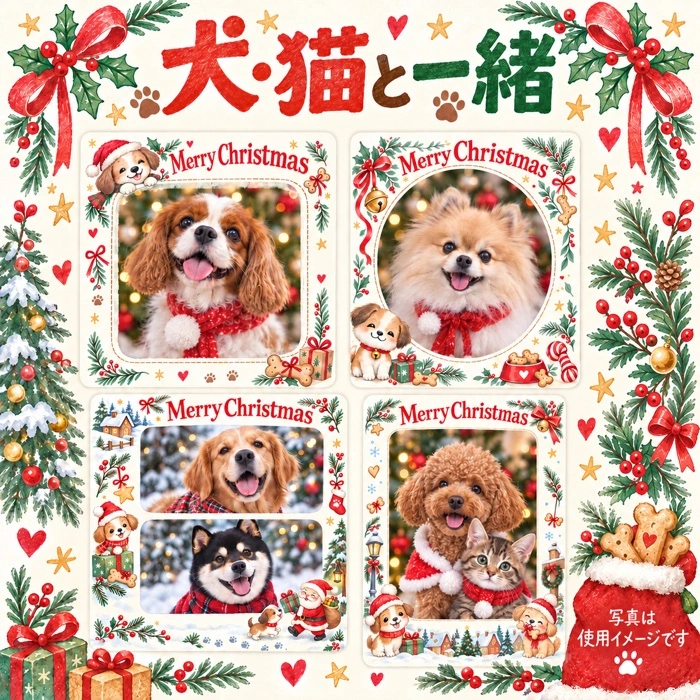 犬・猫と一緒のクリスマス写真フレームの使用イメージ