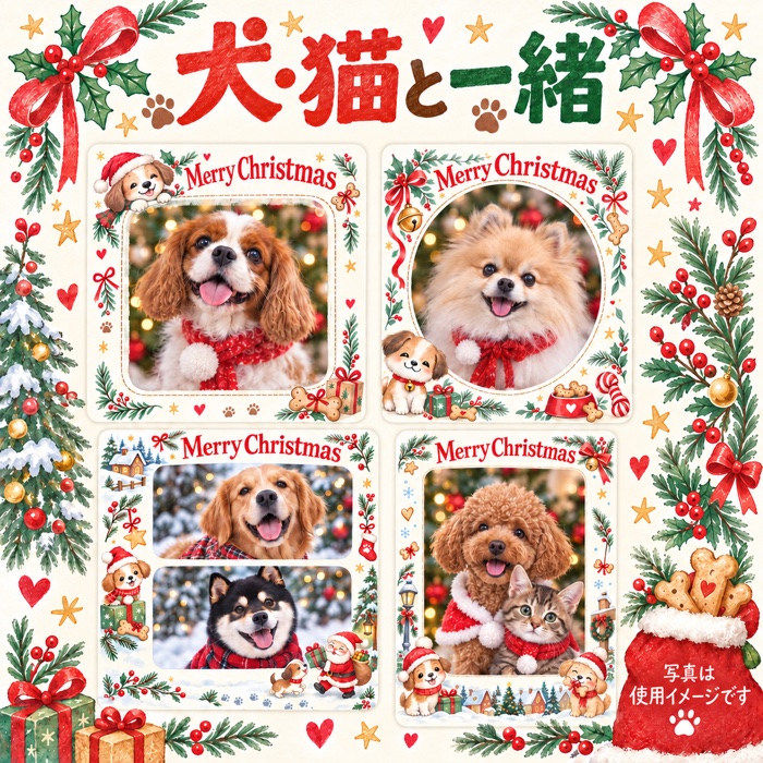 犬・猫と一緒のクリスマス写真フレームの使用イメージ