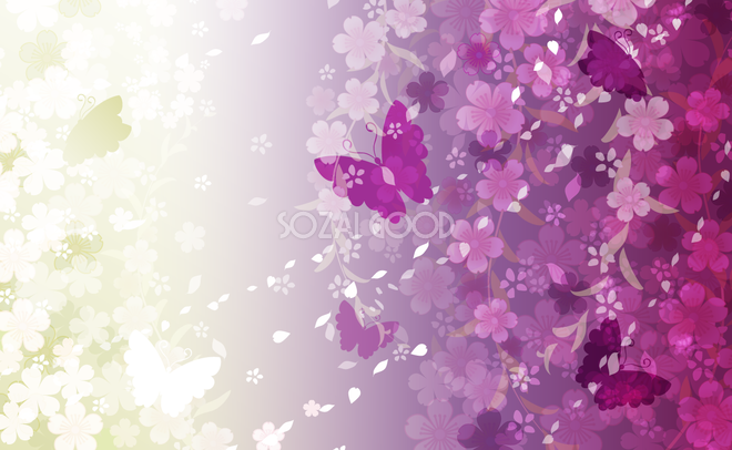 桜紫の地にほんのり暈しと可憐な花が美しい浴衣です ウィンターセール 