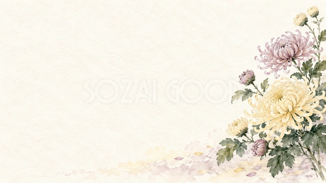 菊の花・横長の右飾りの背景