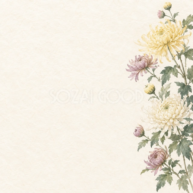 菊の花・右辺の背景