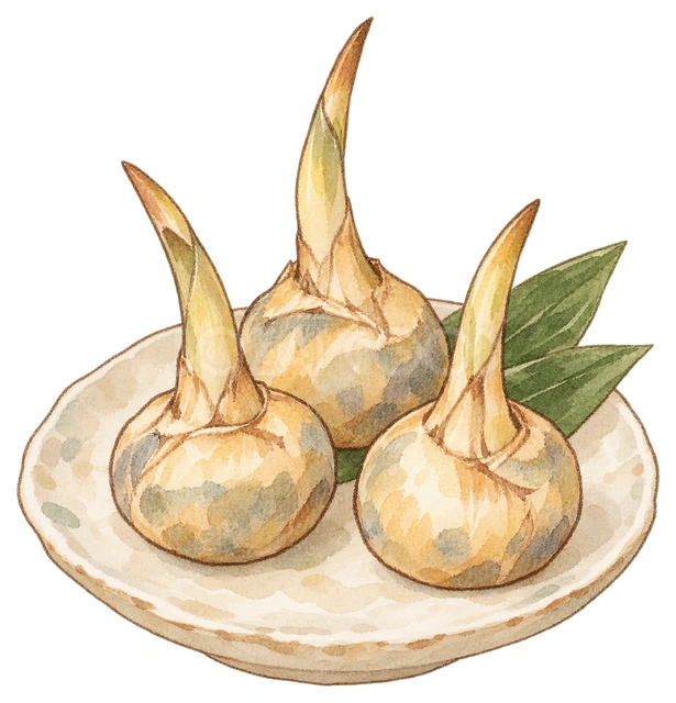 くわいの煮物の水彩イラスト