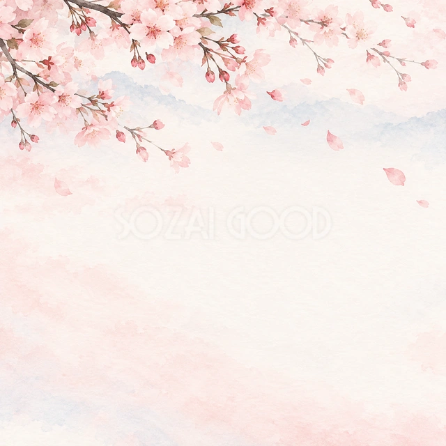 桜の花びら・正方形の背景