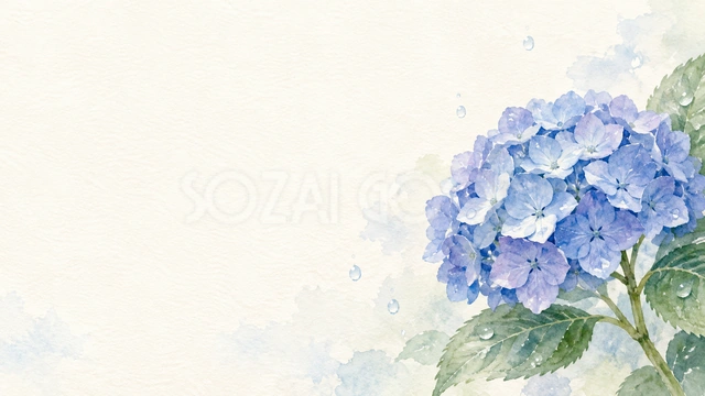 青い花と透ける雨粒・横長の背景