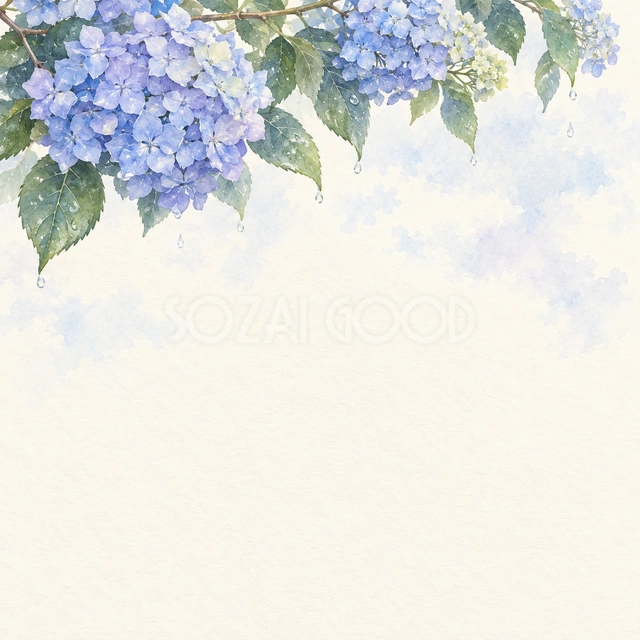 頭上の紫陽花と淡い空・正方形の背景