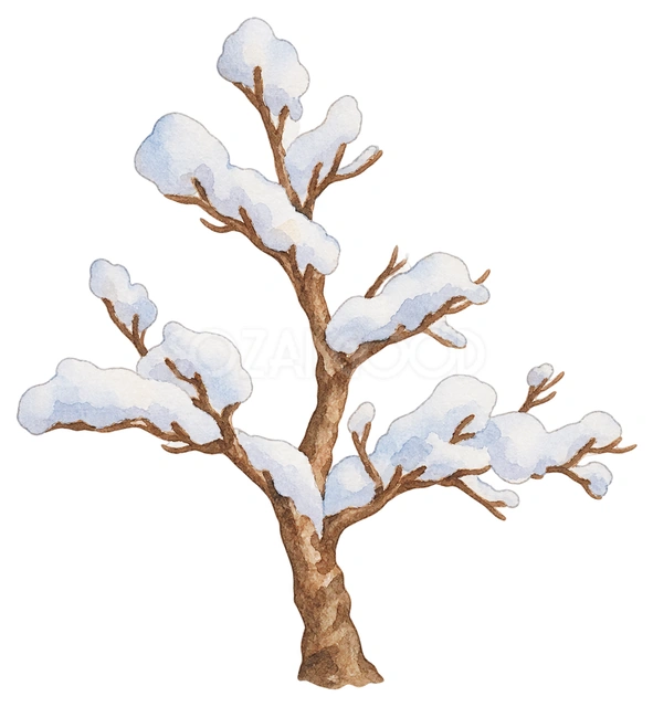 雪の積もった小さな木の水彩イラスト