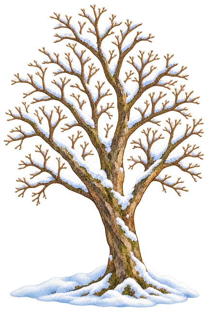 雪の地面と冬の木の水彩イラスト