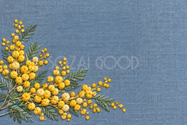 ミモザの刺繍（文字なし）