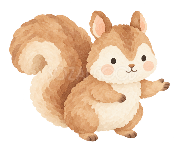 右へ手を差し出すりす