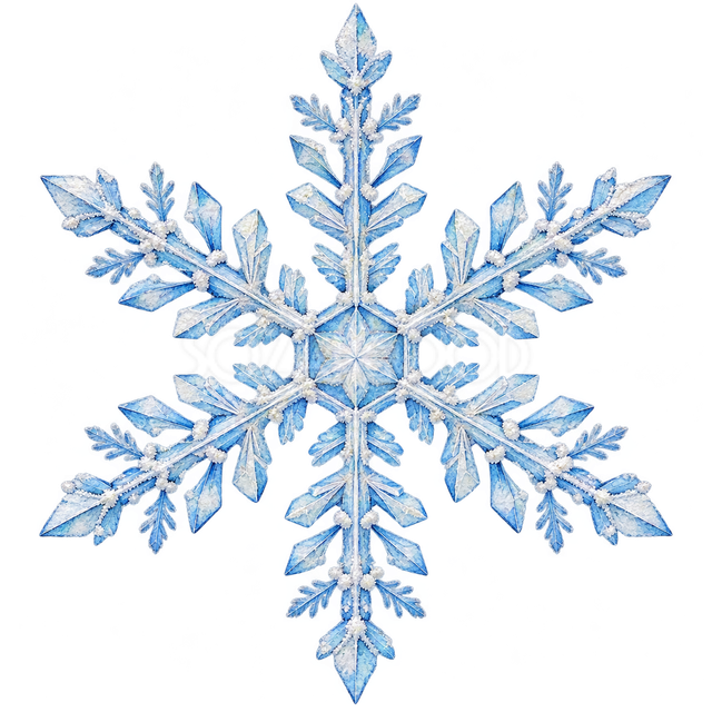 細かな霜の雪の結晶