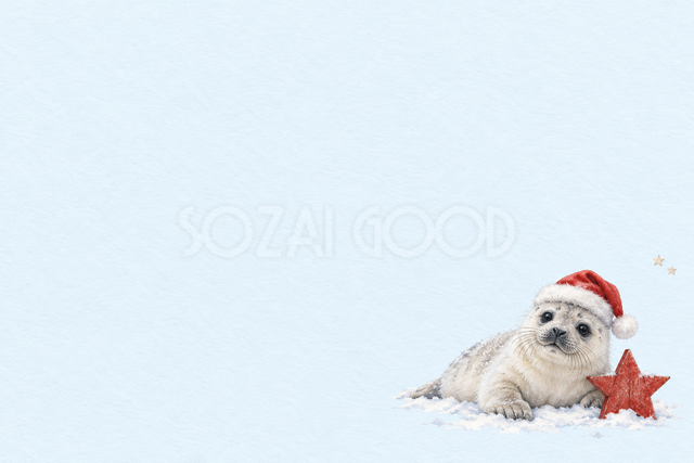 アザラシと雪の星のクリスマスカード