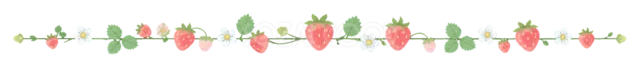 赤い苺と白い花をつないだフルーツライン（背景透過PNG）