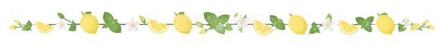 黄色いレモンと緑の葉をつないだフルーツライン（背景透過PNG）
