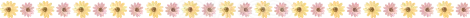 黄色とオレンジの小花を交互に並べた花ライン（背景透過PNG）