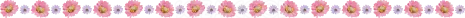 ピンクと紫の小花を細かく並べた春のライン（背景透過PNG）