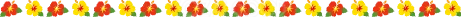 赤と黄色の南国花を並べたカラフルなライン（背景透過PNG）