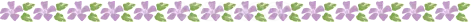 紫のクレマチスと緑の葉を並べた花ライン（背景透過PNG）