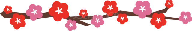 赤とピンクの梅の花を枝に咲かせたお正月ライン（背景透過PNG）