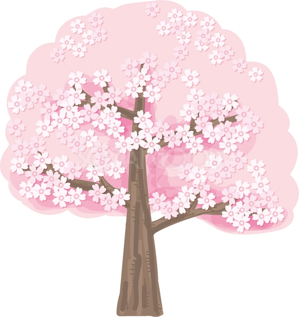 丸く花が広がる桜の木のイラスト